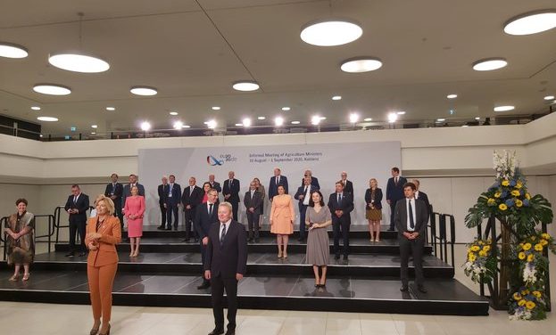 Неусвоените пари по национално-лозарските програми да се пренасочат като подкрепа на производителите на винено грозде