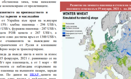 САPA: Значително по-слаб износ на наши зърнени и маслодайни култури. Русия се готви да въведе квота и мито за износ на зърно от 15 февруари
