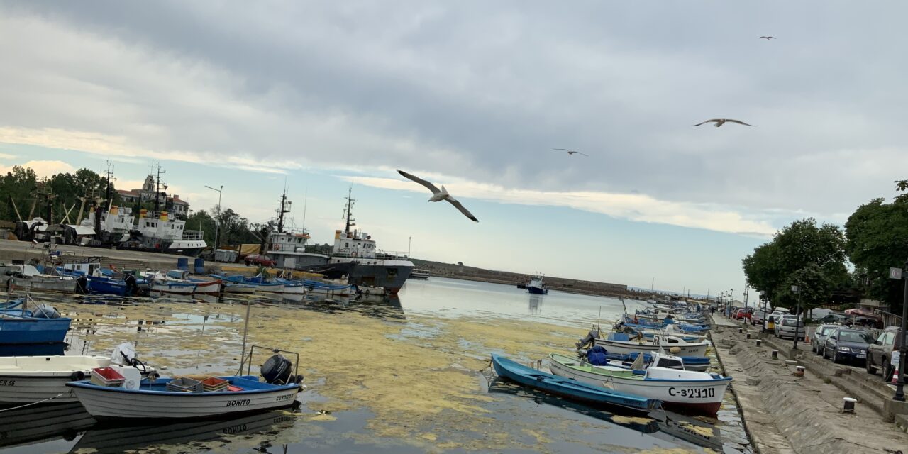 Как от проблем утайките от отпадъчните води от ПСОВ  да станат  актив в земеделието – анкетно проучване на територията на община Бургас по проект