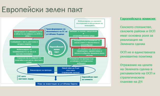 Въпроси за стратегическите планове и Зелената сделка от Осмата межд. конференция, ИАИ. Какво предстои.