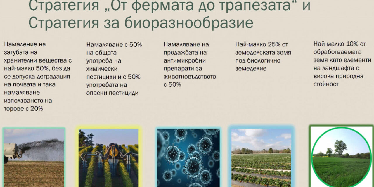 В новините: след  Осмата  межд. научна конференция на Института по аграрна икономика – ССА