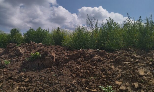 Срещи в Самоков по проекта АГРОРИНГ