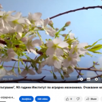 Tools4CAP /Иновативна кутия с инструменти, които дават възможност за ефективно управление на ОСП/-видео