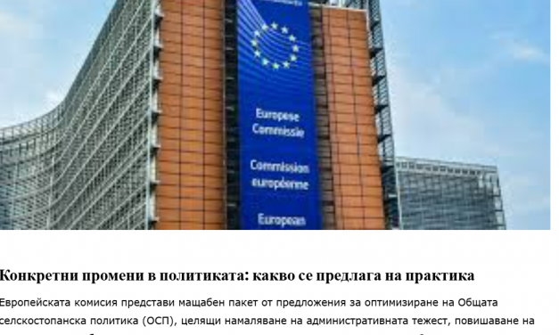 ОСП, по-опростена и ефективна – каква е визията на Европа/прочит в медиите/